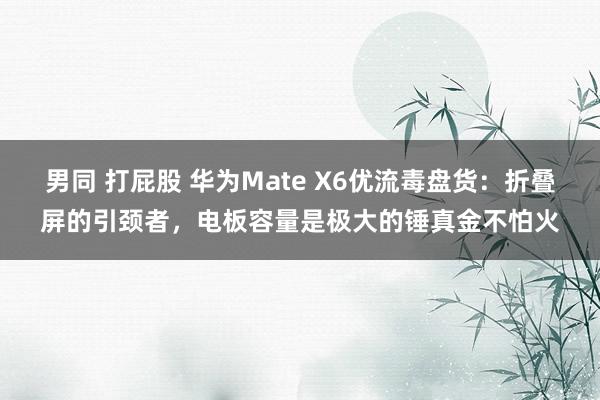 男同 打屁股 华为Mate X6优流毒盘货：折叠屏的引颈者，电板容量是极大的锤真金不怕火