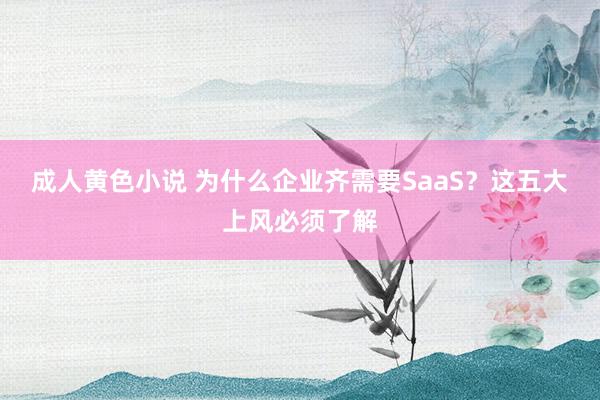 成人黄色小说 为什么企业齐需要SaaS？这五大上风必须了解