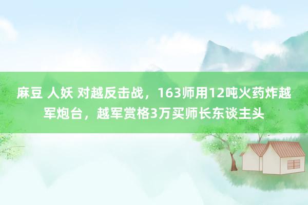 麻豆 人妖 对越反击战，163师用12吨火药炸越军炮台，越军赏格3万买师长东谈主头