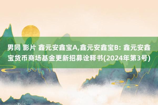 男同 影片 鑫元安鑫宝A，鑫元安鑫宝B: 鑫元安鑫宝货币商场基金更新招募诠释书(2024年第3号)