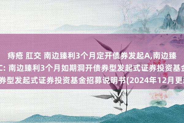 痔疮 肛交 南边臻利3个月定开债券发起A，南边臻利3个月定开债券发起C: 南边臻利3个月如期洞开债券型发起式证券投资基金招募说明书(2024年12月更新)