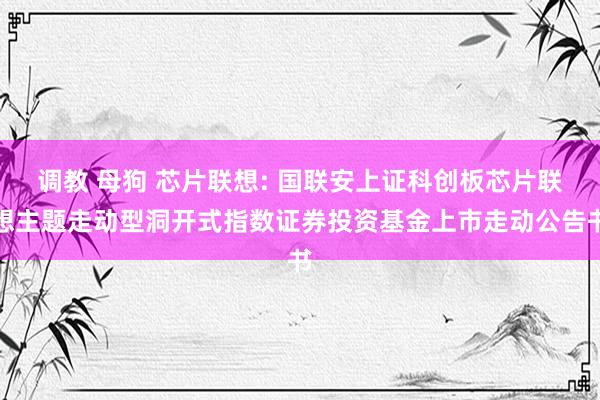 调教 母狗 芯片联想: 国联安上证科创板芯片联想主题走动型洞开式指数证券投资基金上市走动公告书