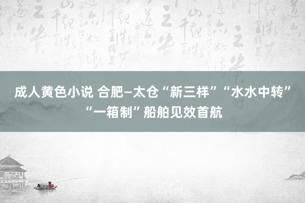 成人黄色小说 合肥—太仓“新三样”“水水中转”“一箱制”船舶见效首航