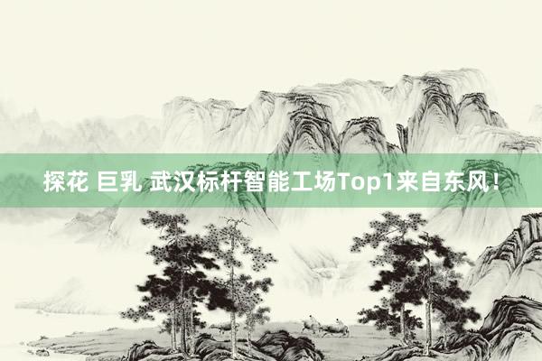 探花 巨乳 武汉标杆智能工场Top1来自东风！