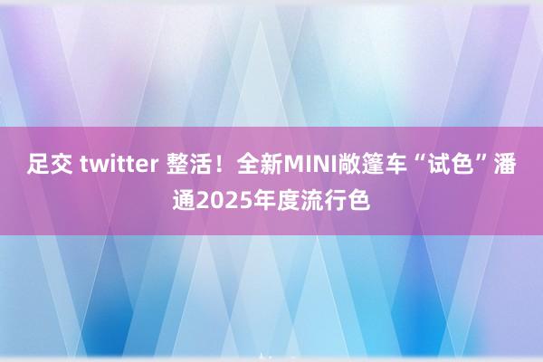 足交 twitter 整活！全新MINI敞篷车“试色”潘通2025年度流行色