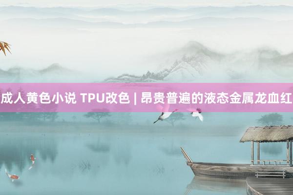 成人黄色小说 TPU改色 | 昂贵普遍的液态金属龙血红