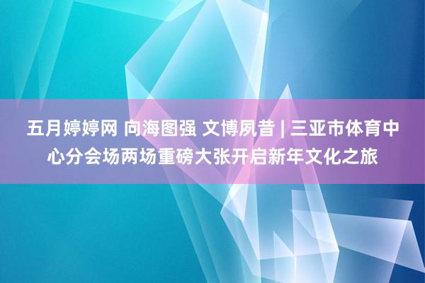 五月婷婷网 向海图强 文博夙昔 | 三亚市体育中心分会场两场重磅大张开启新年文化之旅