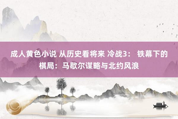 成人黄色小说 从历史看将来 冷战3： 铁幕下的棋局：马歇尔谋略与北约风浪