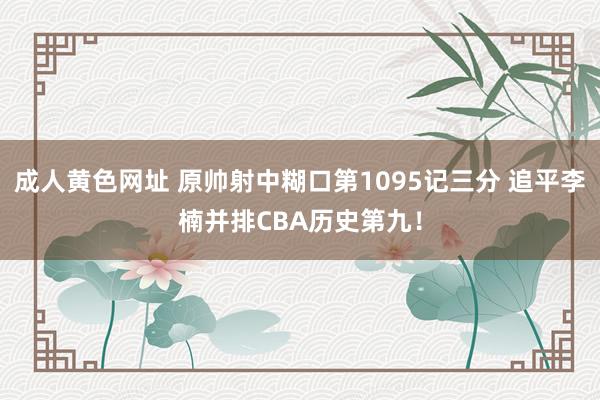 成人黄色网址 原帅射中糊口第1095记三分 追平李楠并排CBA历史第九！