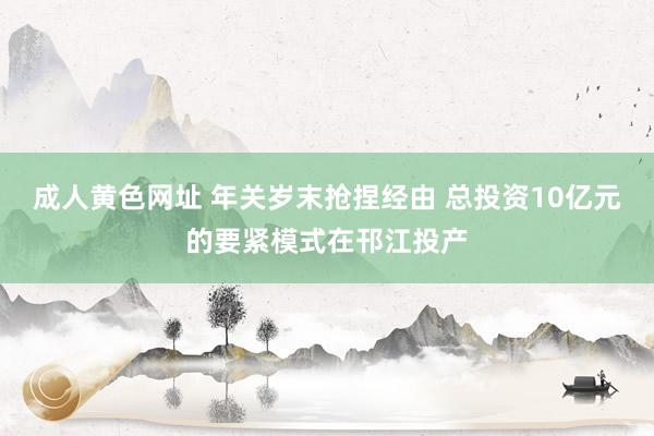 成人黄色网址 年关岁末抢捏经由 总投资10亿元的要紧模式在邗江投产