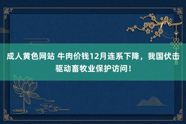 成人黄色网站 牛肉价钱12月连系下降，我国伏击驱动畜牧业保护访问！