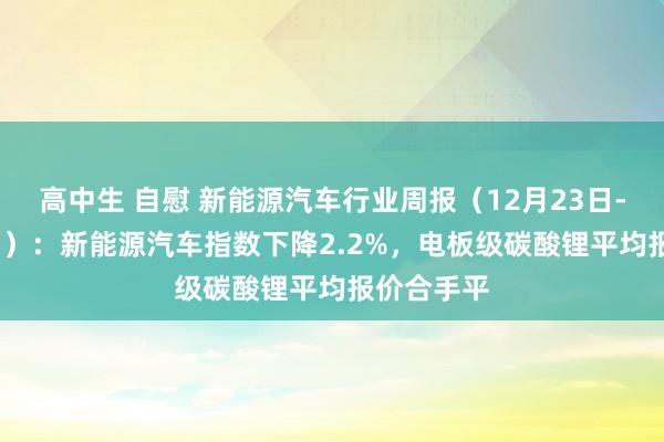 高中生 自慰 新能源汽车行业周报（12月23日-12月27日）：新能源汽车指数下降2.2%，电板级碳酸锂平均报价合手平