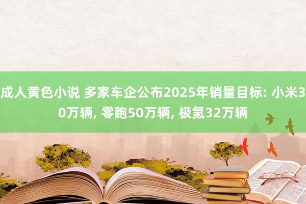 成人黄色小说 多家车企公布2025年销量目标: 小米30万辆， 零跑50万辆， 极氪32万辆