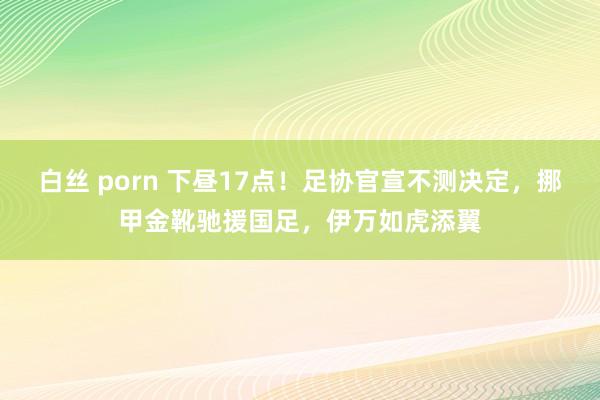 白丝 porn 下昼17点！足协官宣不测决定，挪甲金靴驰援国足，伊万如虎添翼