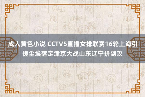 成人黄色小说 CCTV5直播女排联赛16轮上海引援尘埃落定津京大战山东辽宁拼副攻