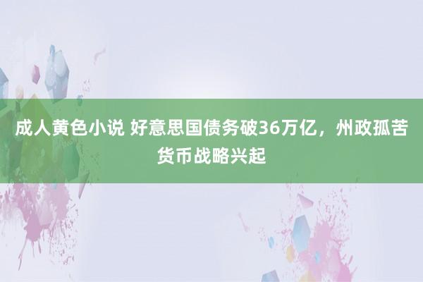 成人黄色小说 好意思国债务破36万亿，州政孤苦货币战略兴起