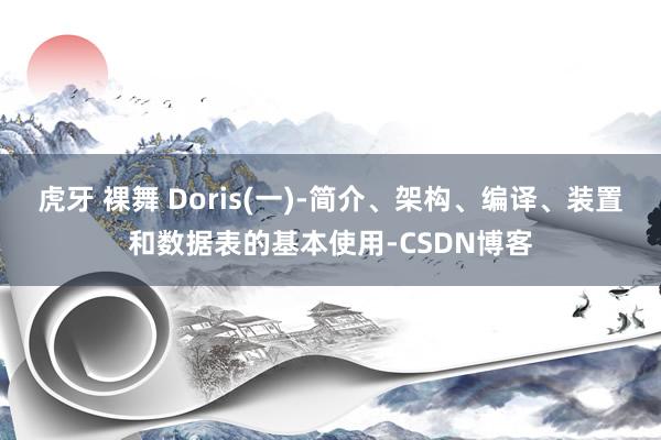 虎牙 裸舞 Doris(一)-简介、架构、编译、装置和数据表的基本使用-CSDN博客