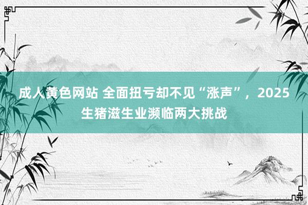 成人黄色网站 全面扭亏却不见“涨声”，2025生猪滋生业濒临两大挑战