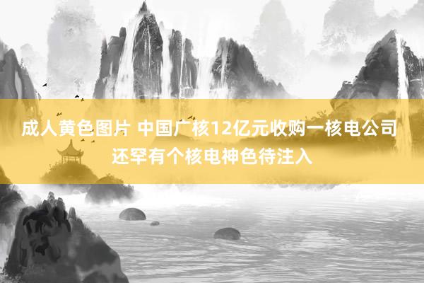 成人黄色图片 中国广核12亿元收购一核电公司 还罕有个核电神色待注入