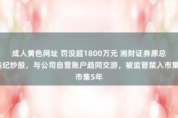 成人黄色网址 罚没超1800万元 湘财证券原总裁违纪炒股，与公司自营账户趋同交游，被监管禁入市集5年