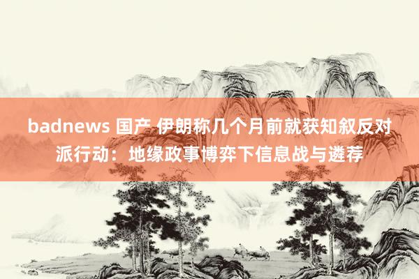 badnews 国产 伊朗称几个月前就获知叙反对派行动：地缘政事博弈下信息战与遴荐