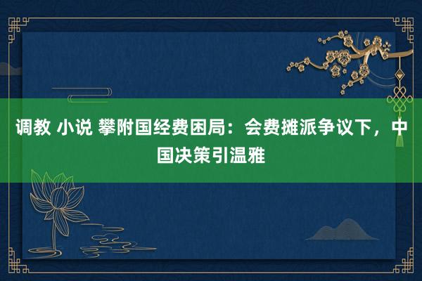 调教 小说 攀附国经费困局：会费摊派争议下，中国决策引温雅