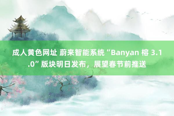 成人黄色网址 蔚来智能系统“Banyan 榕 3.1.0”版块明日发布，展望春节前推送