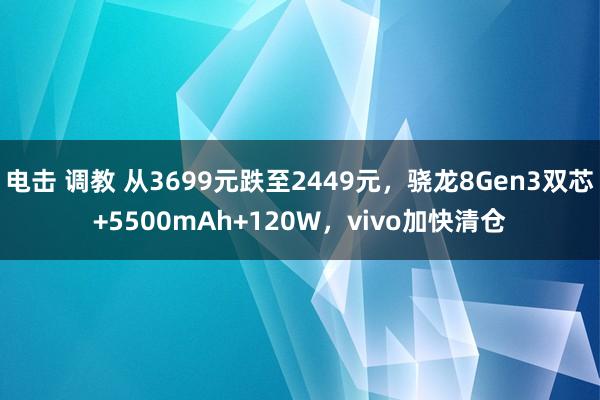 电击 调教 从3699元跌至2449元，骁龙8Gen3双芯+5500mAh+120W，vivo加快清仓