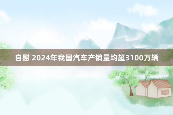 自慰 2024年我国汽车产销量均超3100万辆