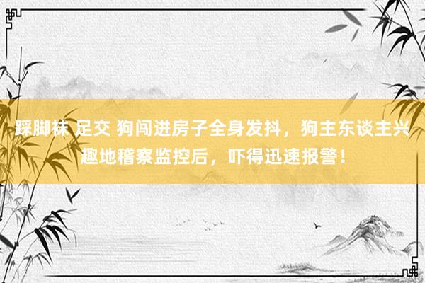 踩脚袜 足交 狗闯进房子全身发抖，狗主东谈主兴趣地稽察监控后，吓得迅速报警！